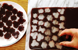 Healthy Fruit Gelatin Gummy Snacks