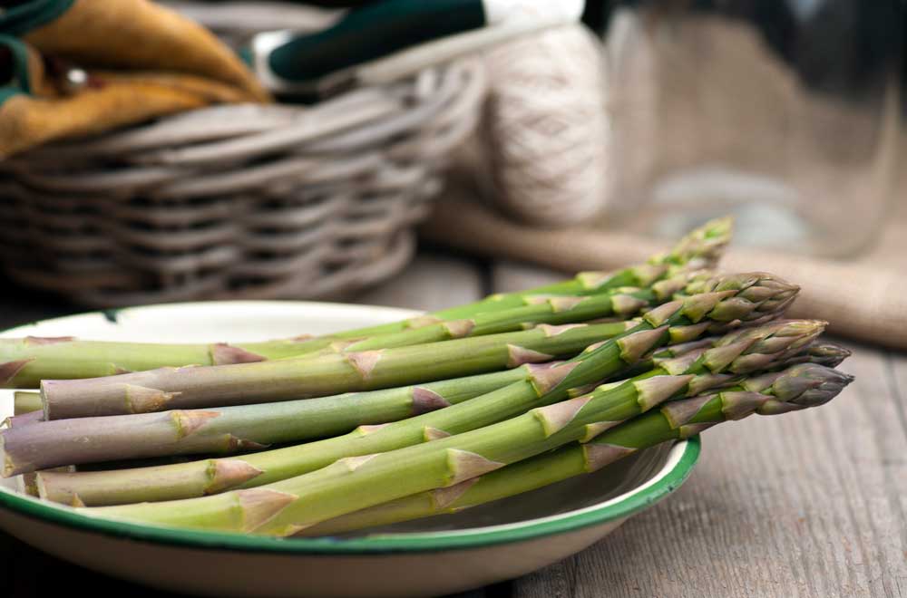 Fresh Asparagus in a plate